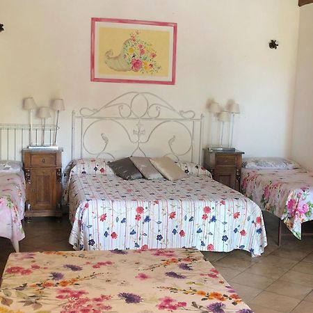Casale Fedele Family Relax B&B Vicino Al Borgo Ronciglione  Eksteriør billede