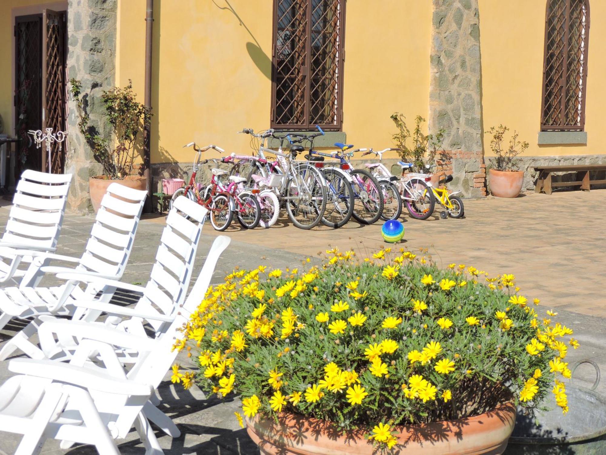 Casale Fedele Family Relax B&B Vicino Al Borgo Ronciglione  Eksteriør billede
